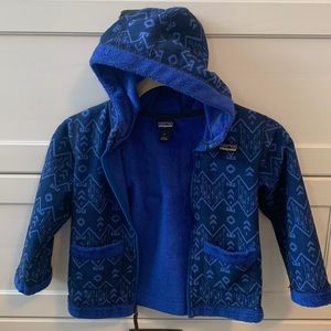 Patagonia blue fleece
